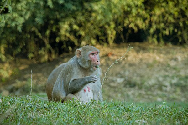 Quels défis posent les nouvelles réglementations environnementales ?